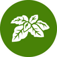Test Brand